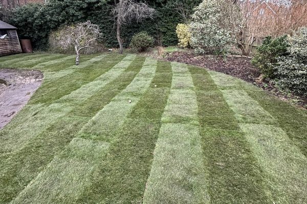 landscaping services harpenden