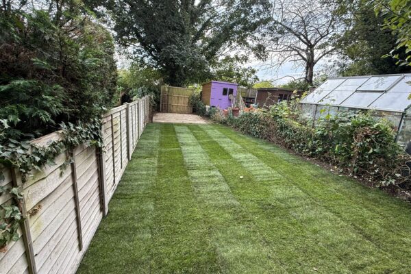 new turf laid in st albans hertfordshire