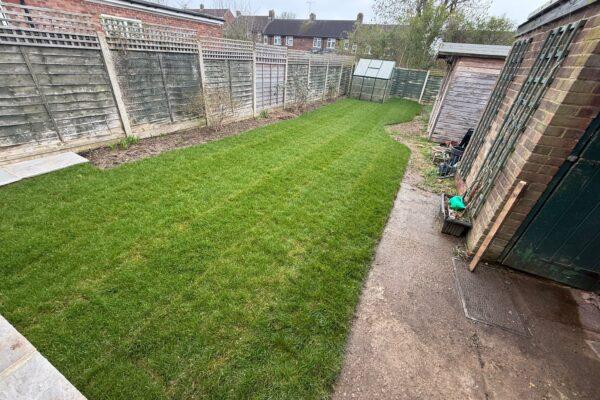 PHOTO-2026-02-25-10-41-39