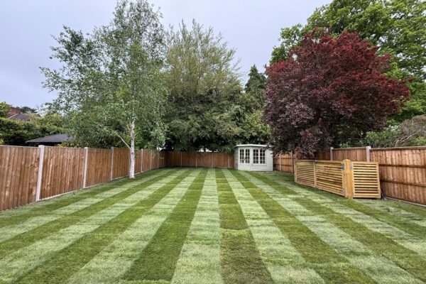 new turf laid in radlett