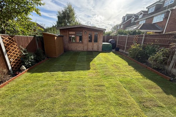 new turf for a garden in st albans